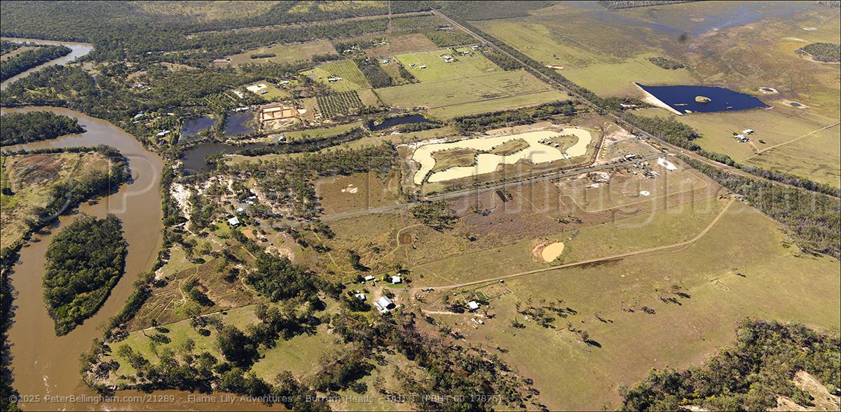 Peter Bellingham Photography Flame Lily Adventures - Burrum Heads - QLD T (PBH4 00 17876)